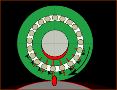 Contact Stress concentrated at contact when outer bearing ring in contact with a cam or track.